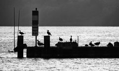 ... am abend