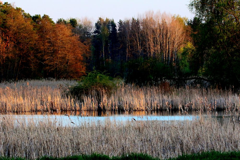 "Am Abend am See"