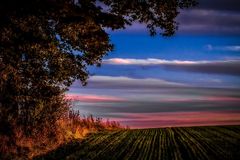 Am Abend am Waldrand