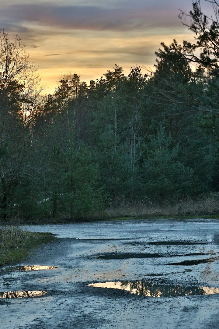 "Am Abend am Waldweg"