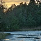 "Am Abend am Waldweg"