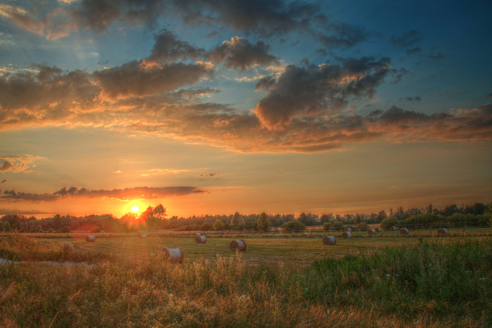 Am Abend auf dem Feld