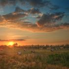 Am Abend auf dem Feld