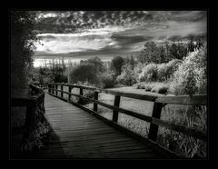 Am Abend auf der Brücke I