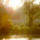 am Abend auf der Vogelinsel