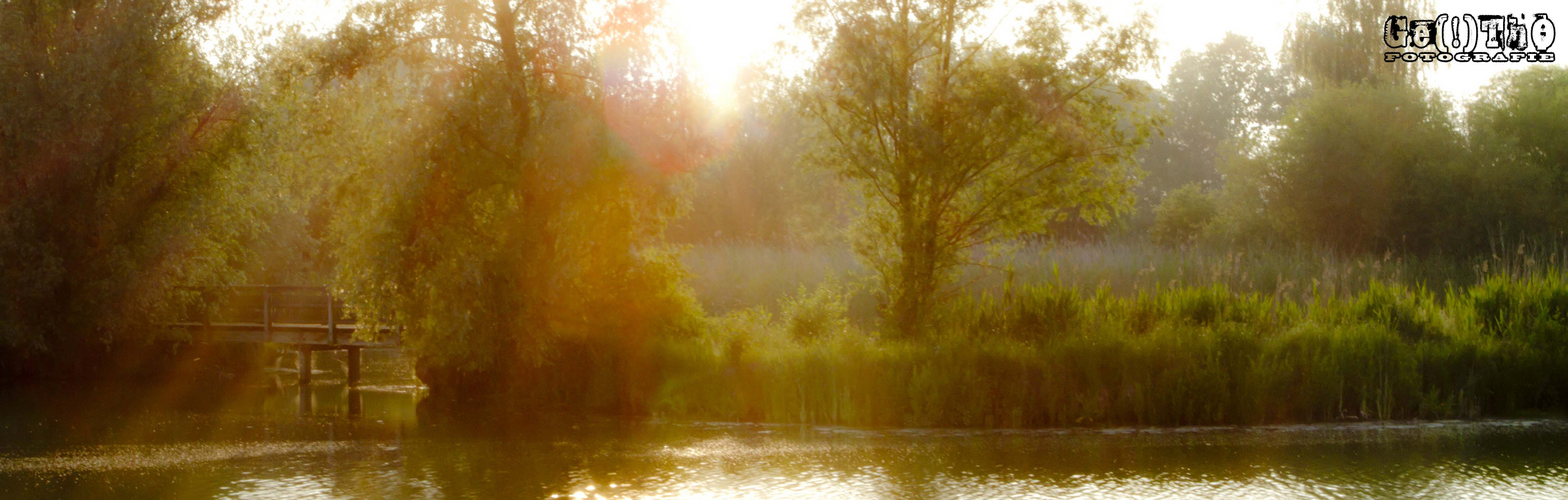 am Abend auf der Vogelinsel