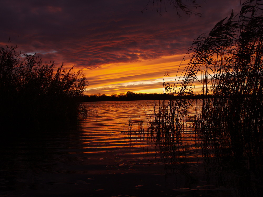 am Abend bei Potsdam