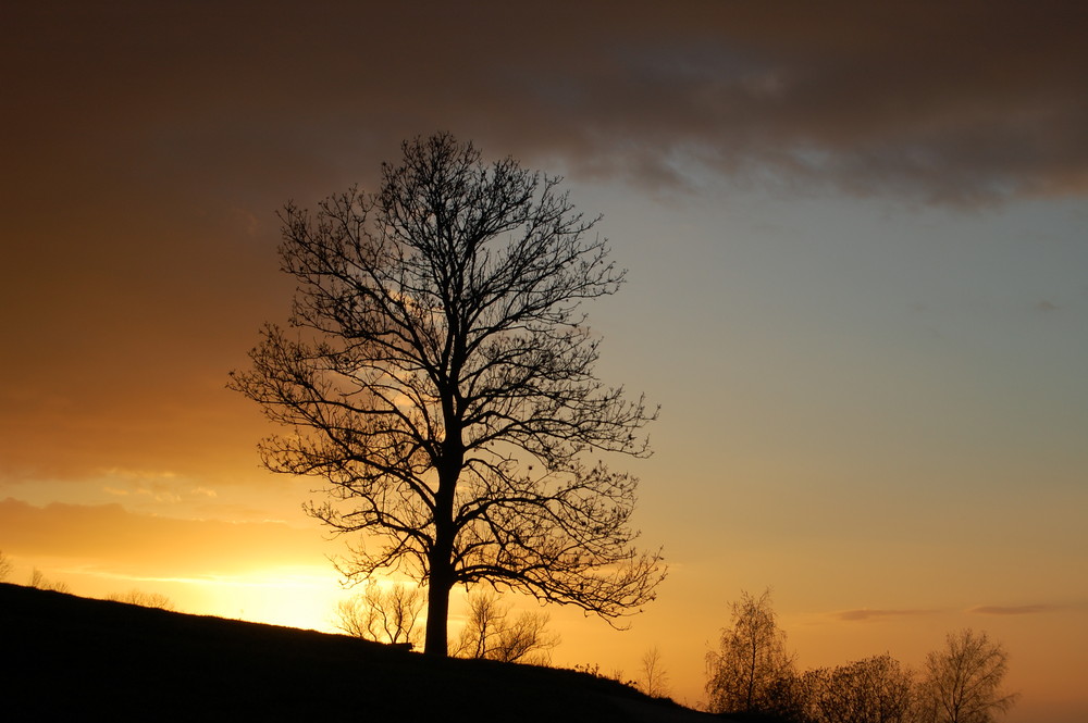 Am Abend bevor der Winter kam