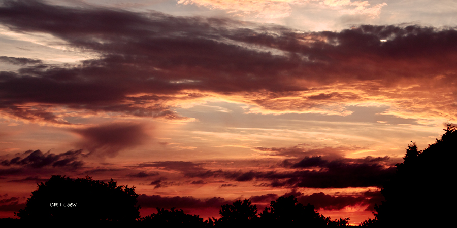 Am Abend der Mondfinsternis !