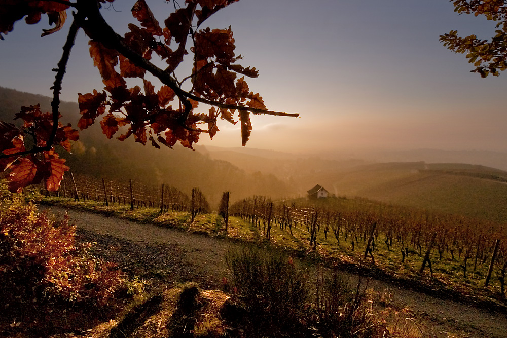 Am Abend des letzten Tages im Herbst