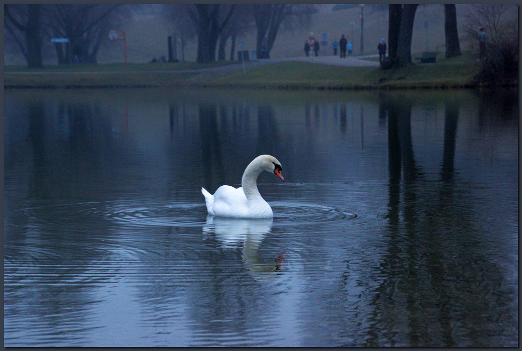 Am Abend ...