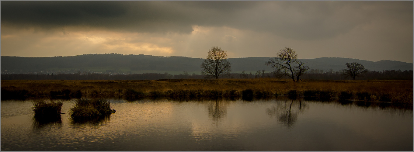 Am Abend im Moor   . . .