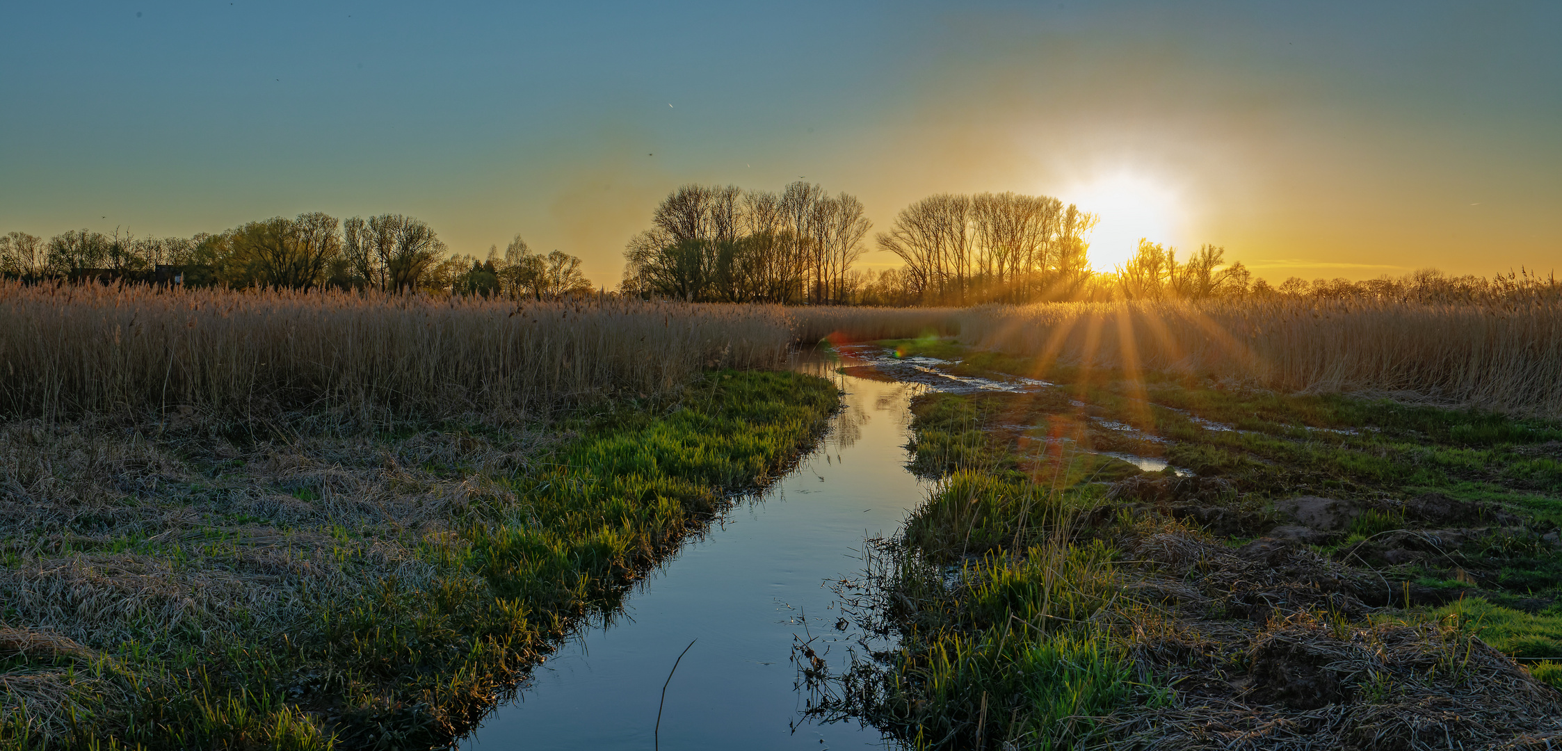 am Abend in der Natur