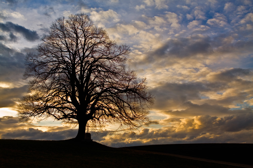 Am Abend mancher Tage ...