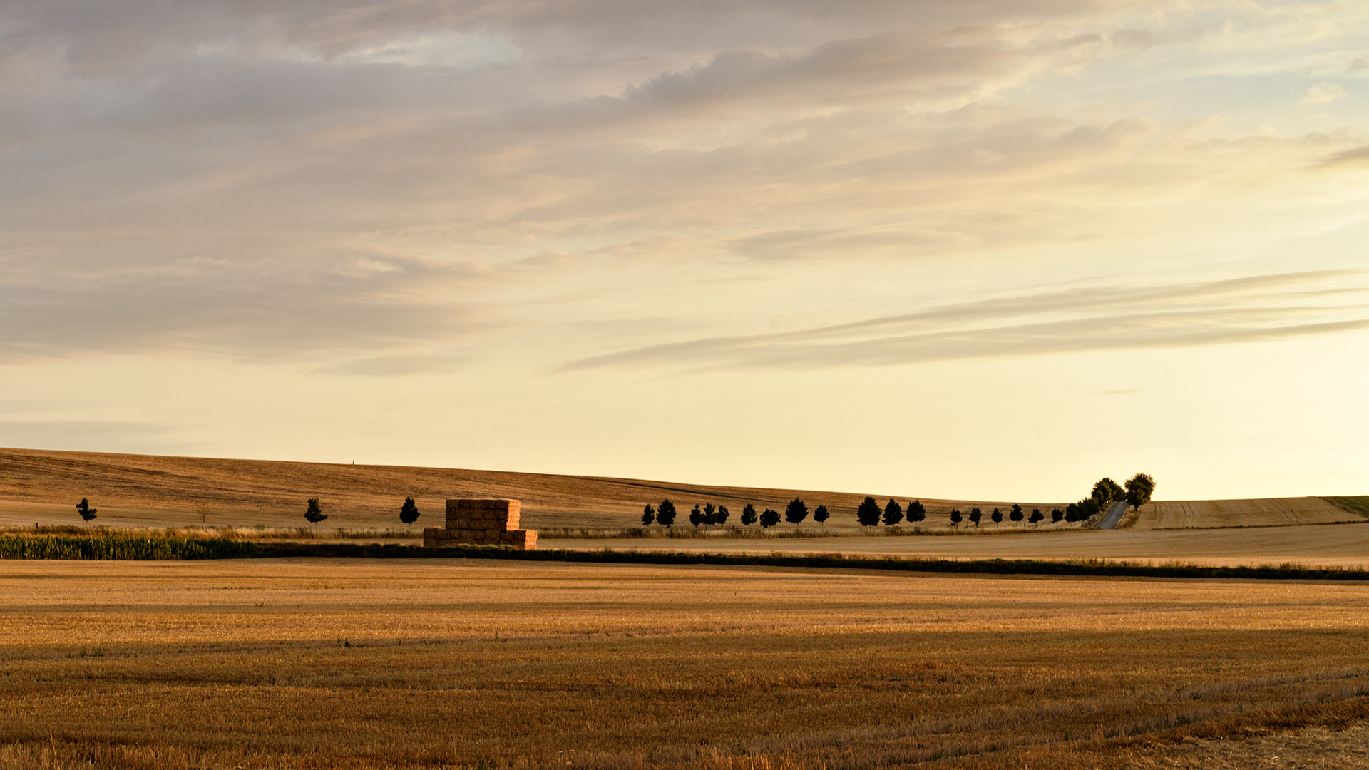 am Abend nach der Ernte