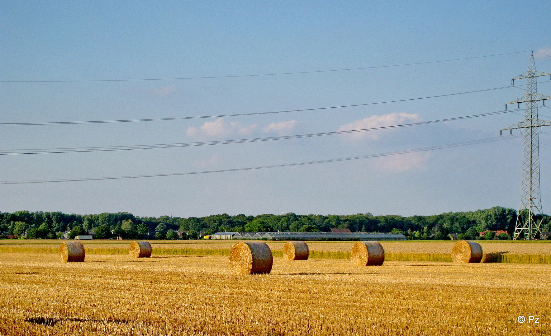 Am Abend nach der Ernte ...