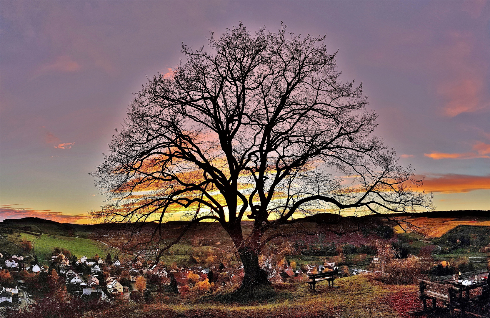 Am Abend nach Sonnenuntergang an der Friedenslinde.