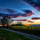 Am Abend reißt der Himmel auf 