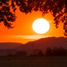 Am Abend, wenn die Glocken Frieden läuten ... (Trakl)