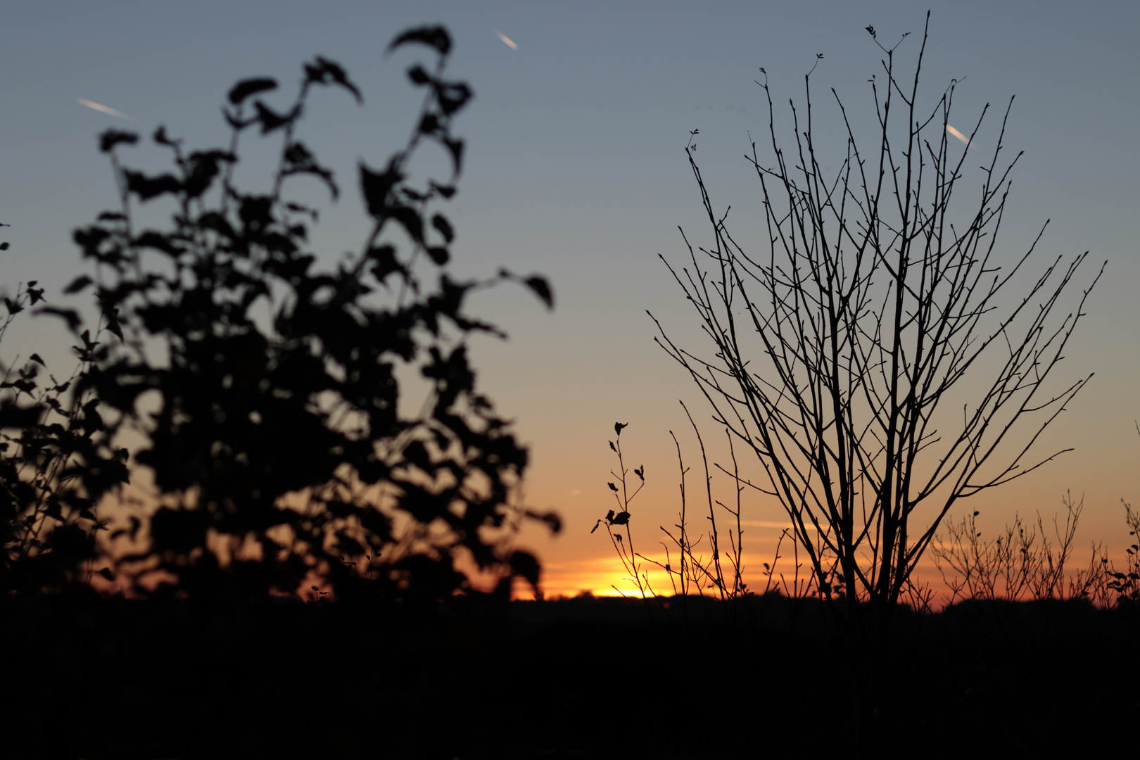 Am Abend zur goldenen Stunde im Moor - 5