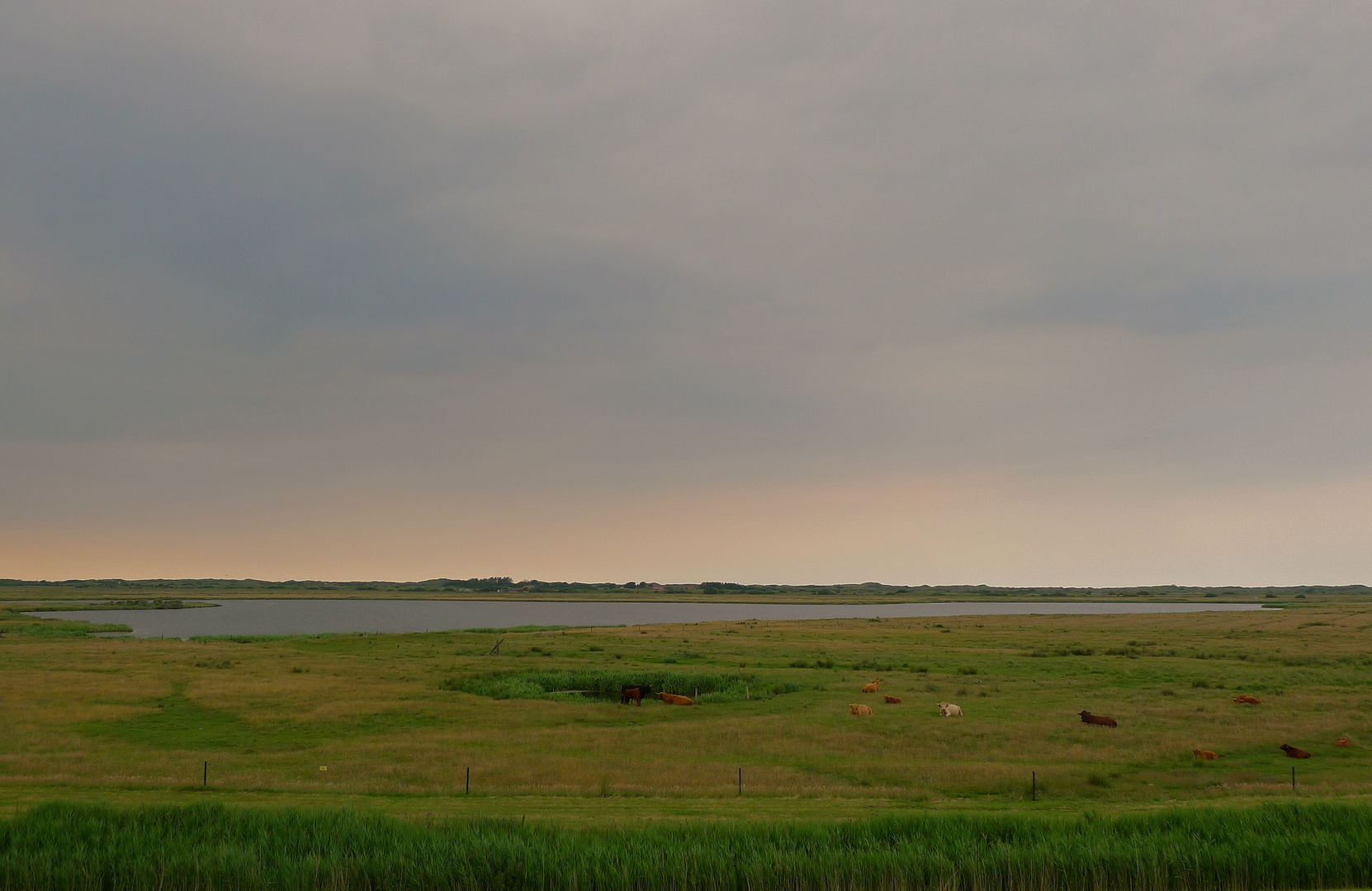 Am Abend zwischen Deich und Dünen