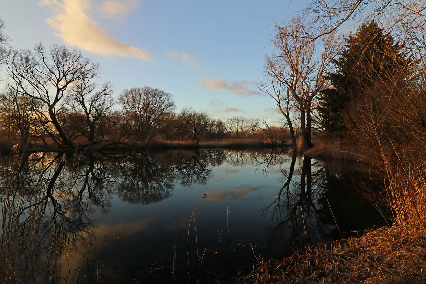 Am abendlichen Teich