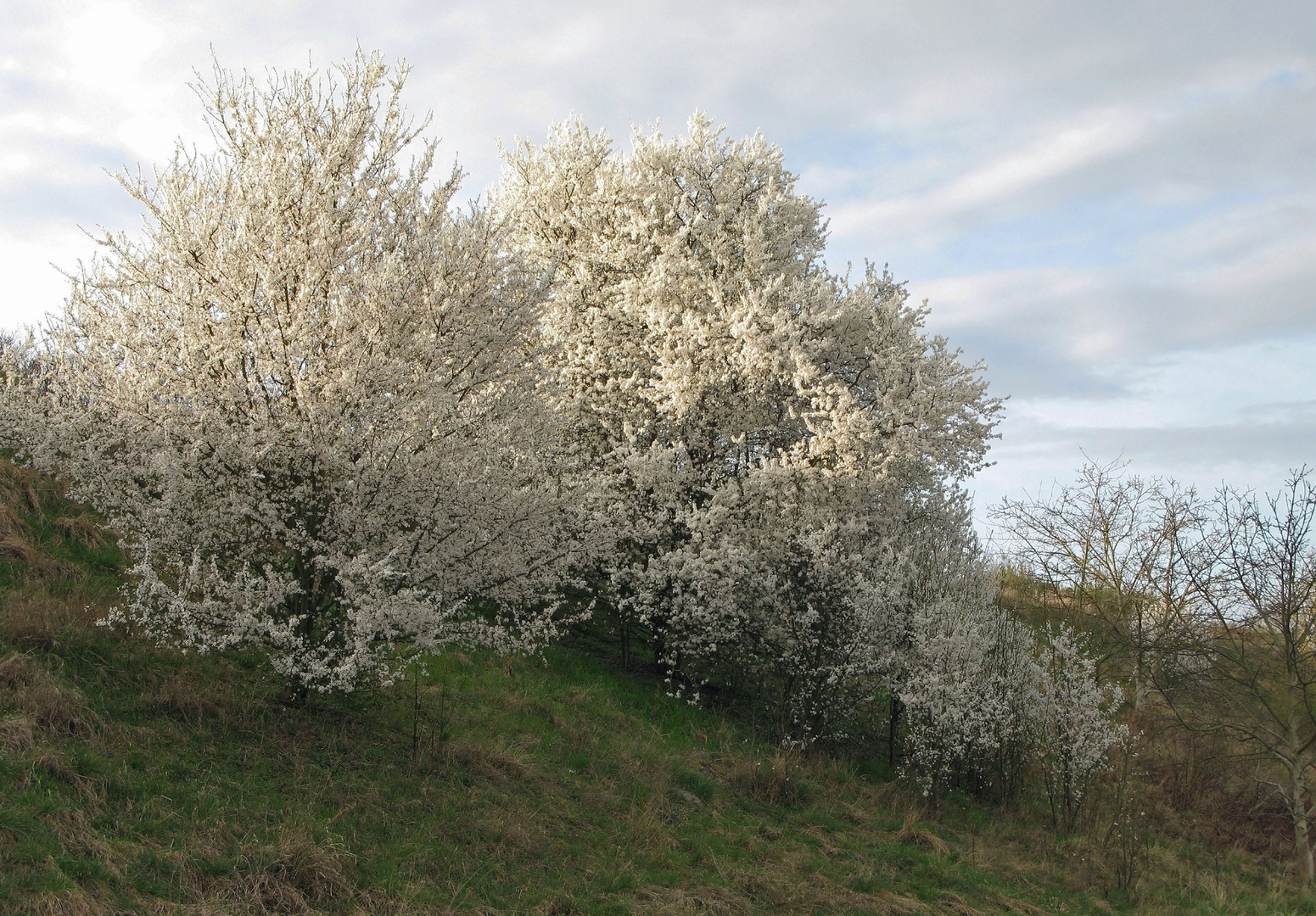 Am Abhang meines Weges