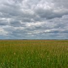 Am Achterwasser auf Usedom