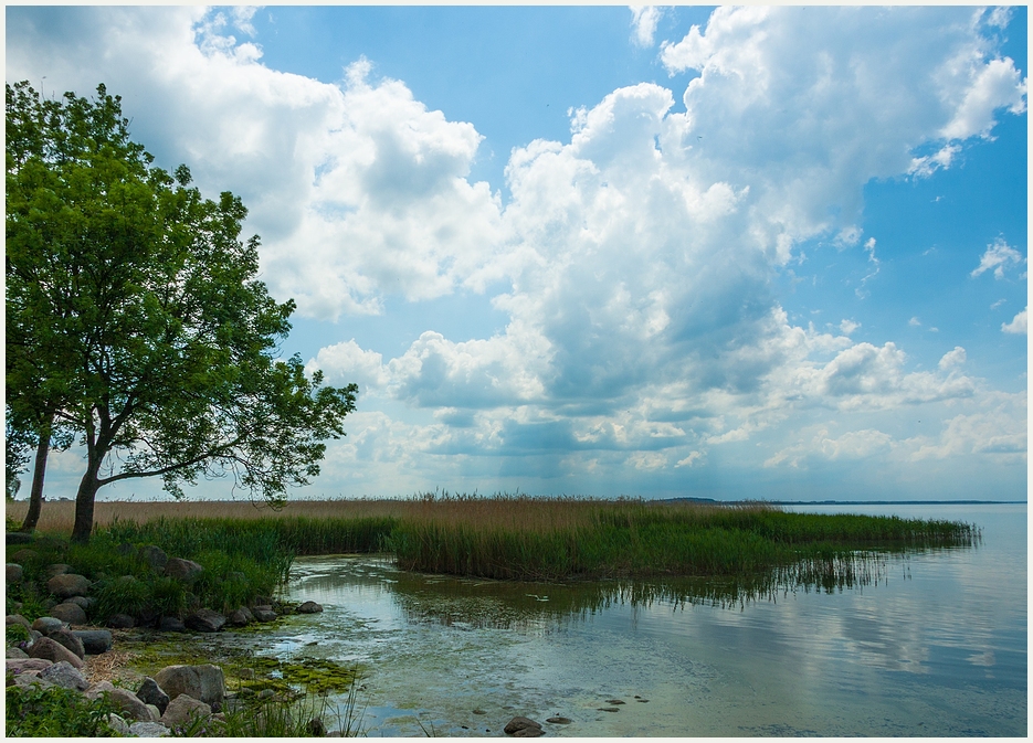 Am Achterwasser (gespiegelt)