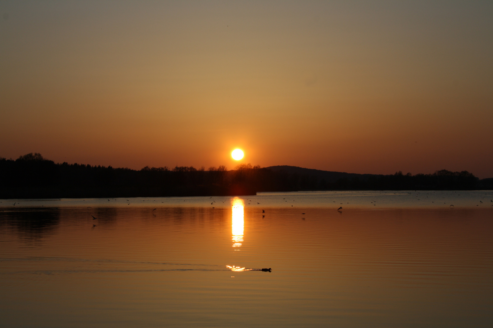 am Ältmühlsee