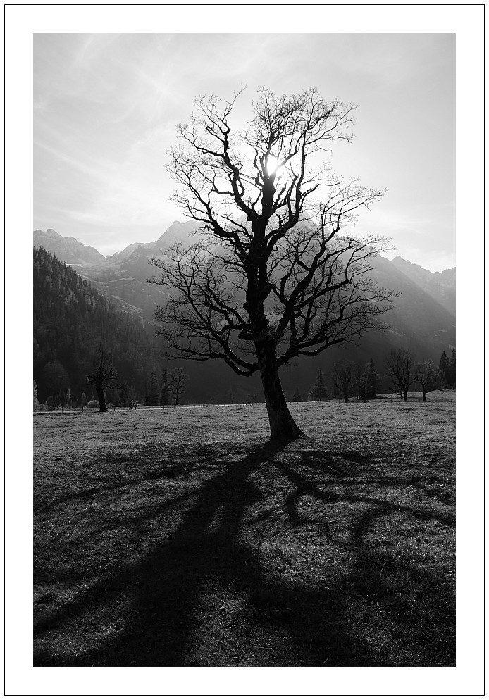 Am Ahornboden in der Eng/Karwendel/Tirol