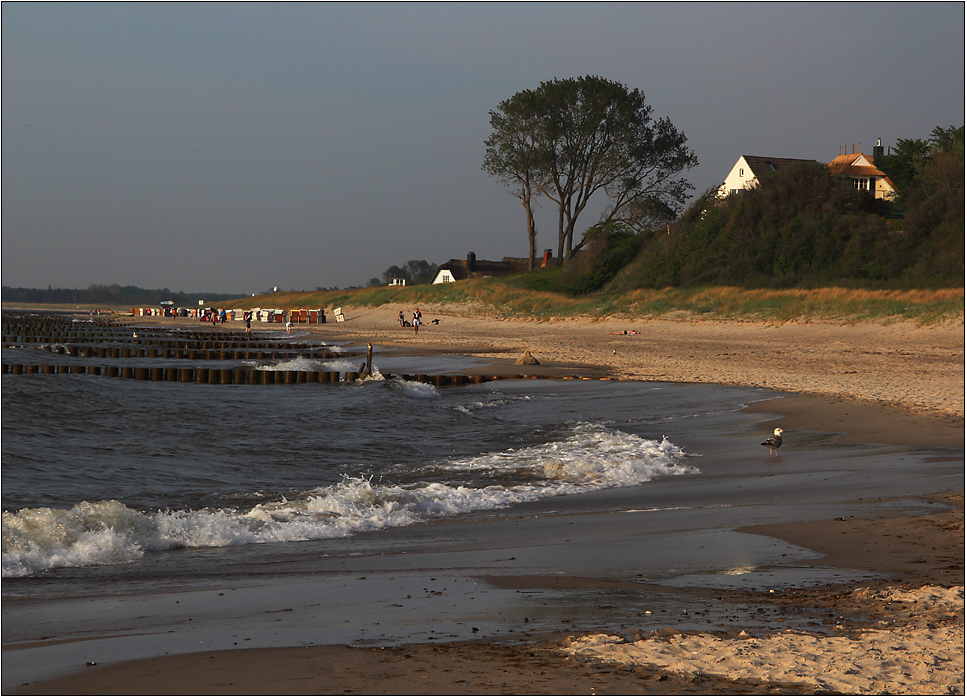 Am Ahrenshooper Strand