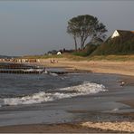 Am Ahrenshooper Strand