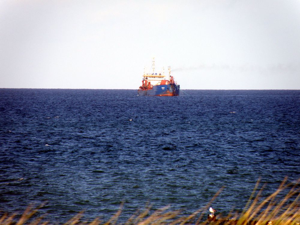 am Ahrenshooper Strand