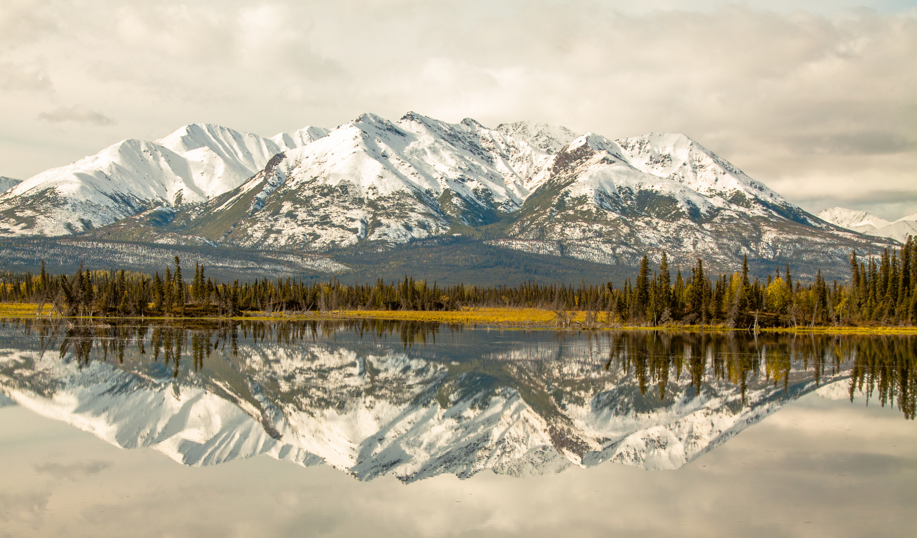 Am Alaska Highway  0104. September 2014