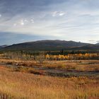 am Alaska Highway