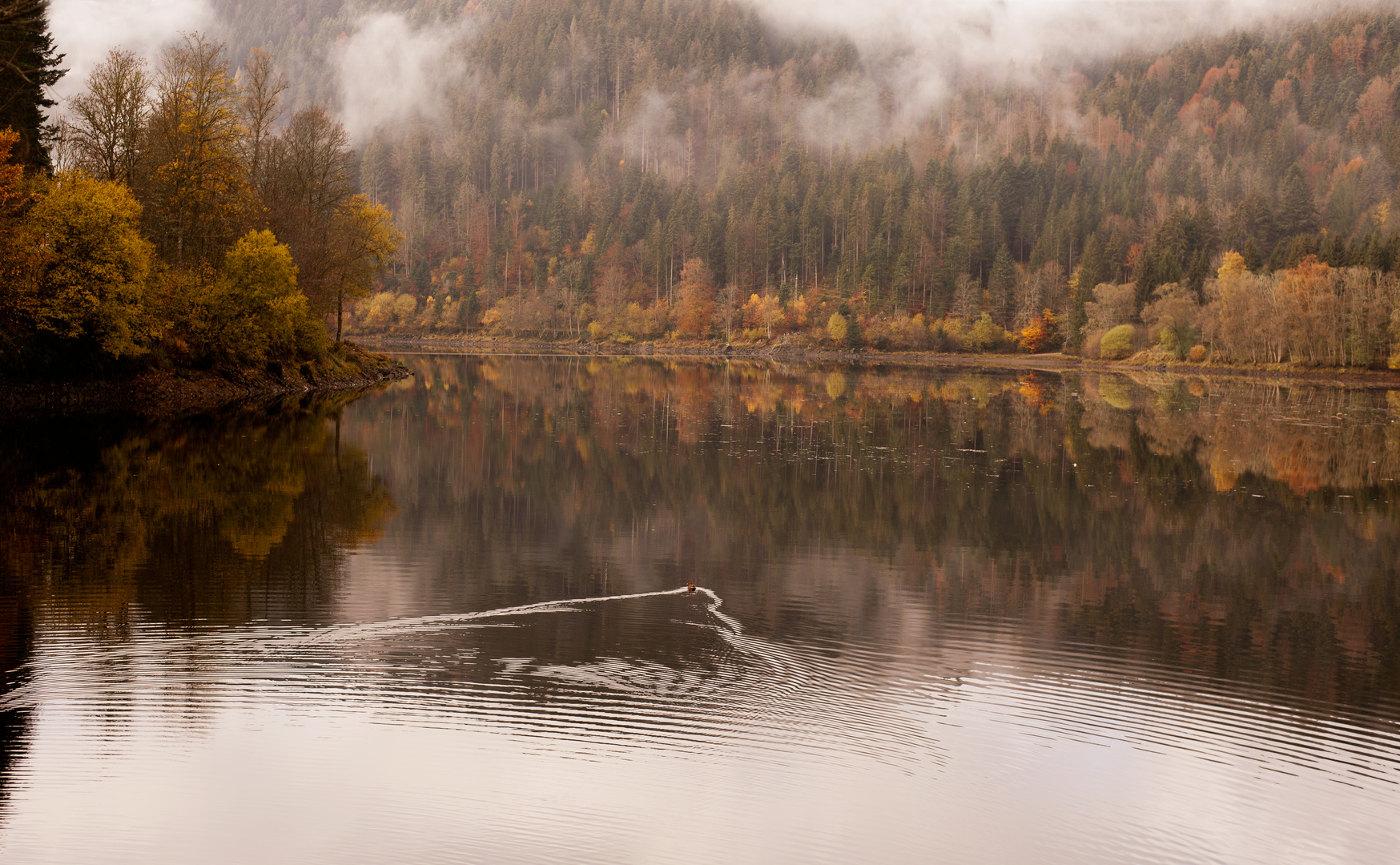 Am Albtal Stausee