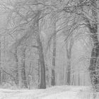 Am Albtrauf in Winterkleid