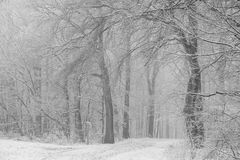 Am Albtrauf in Winterkleid