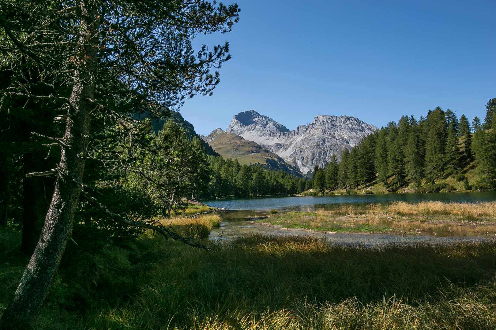 Am Albulapass