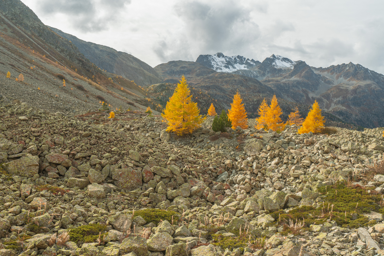 Am Albulapass