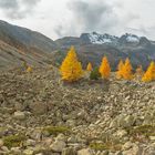 Am Albulapass