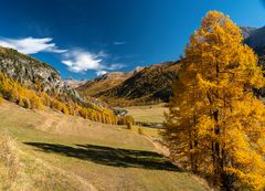 Am Albulapass