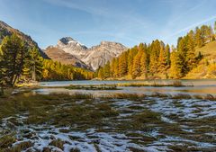 Am Albulapass