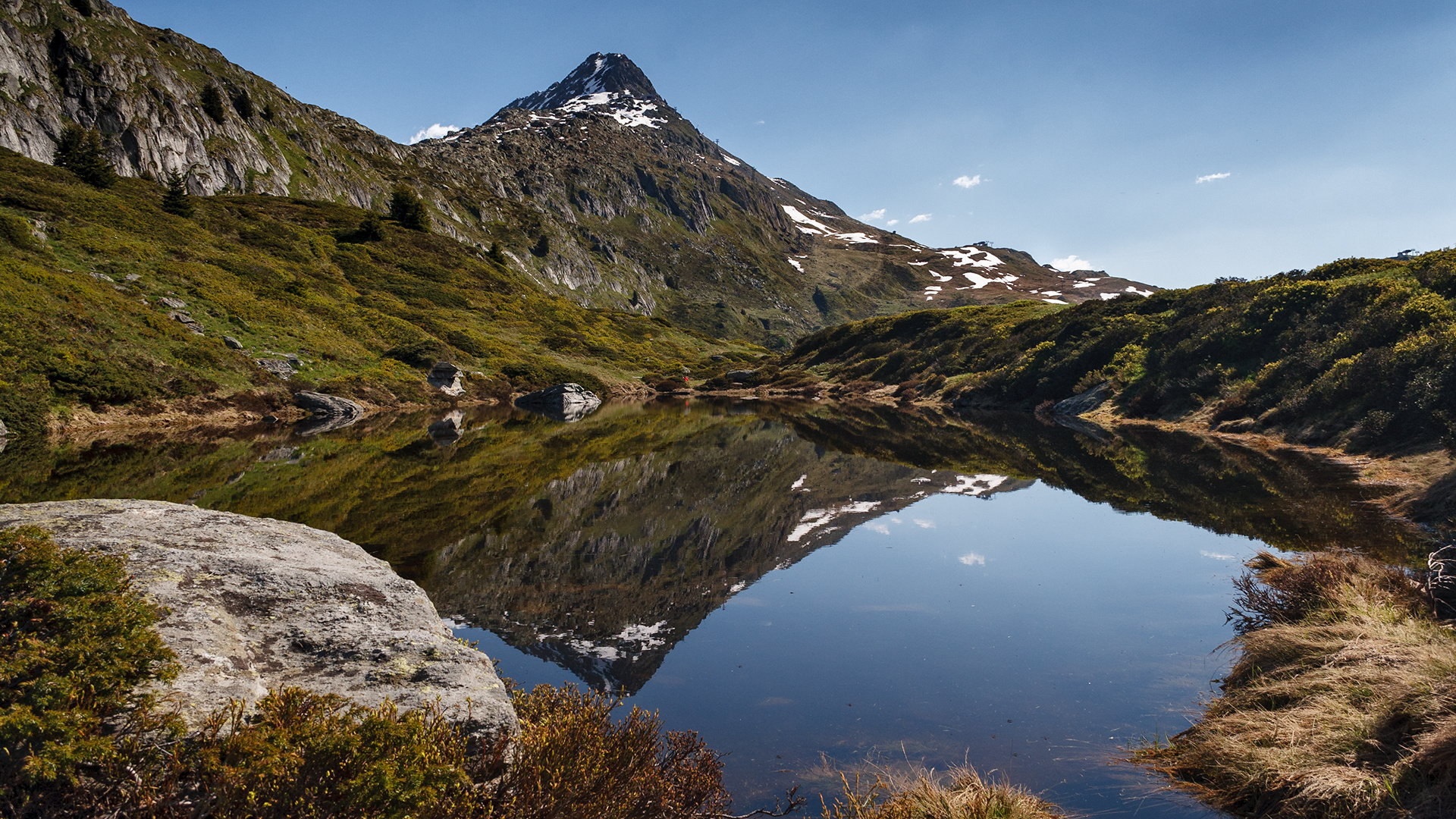 am Aletsch