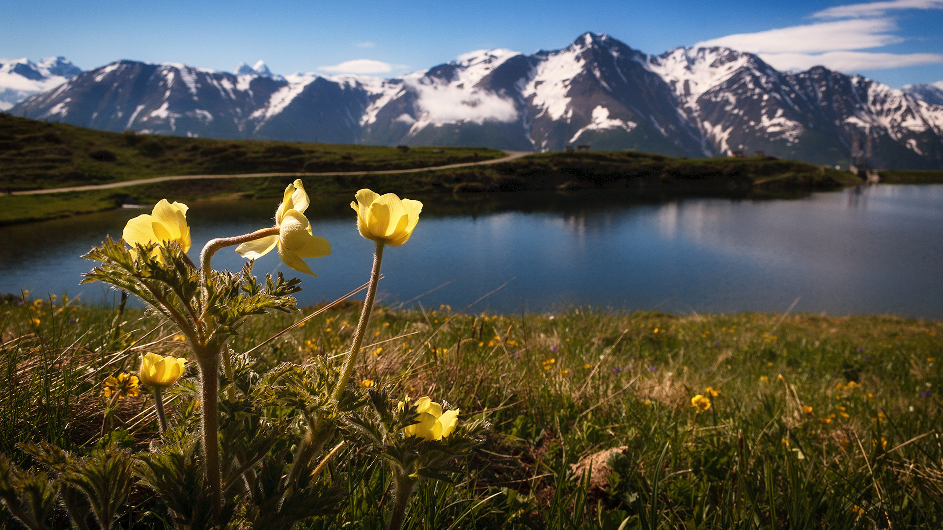 am Aletsch