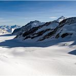 Am Aletsch