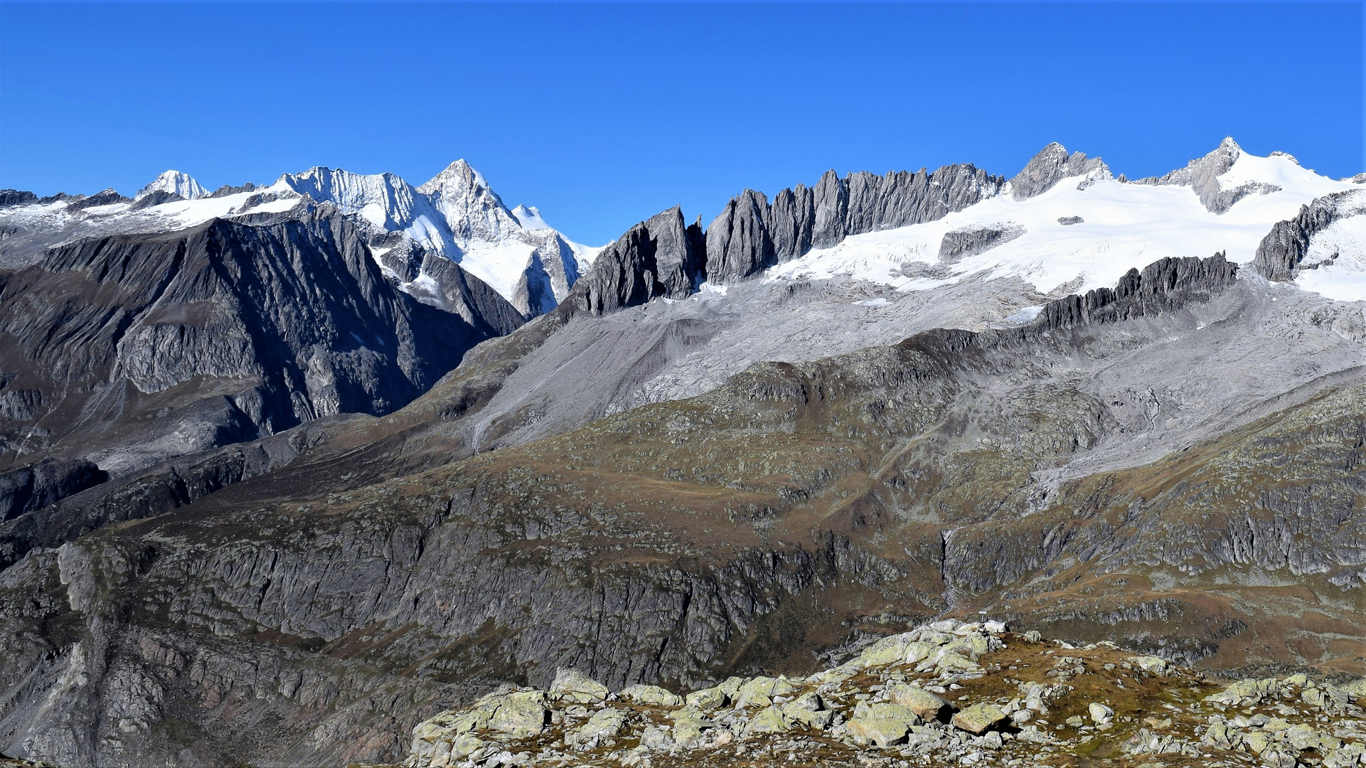 Am Aletsch