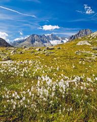 Am Aletsch-Gletscherwanderweg