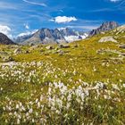 Am Aletsch-Gletscherwanderweg